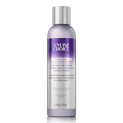 Afbeelding van The Mane Choice Easy On CURLS Detangling Hydration Conditioner 236ml