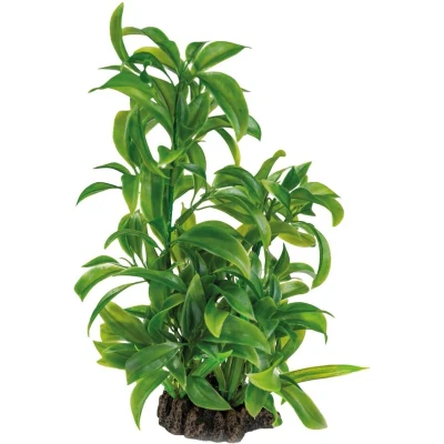 Afbeelding van Superfish Art plant Dracena