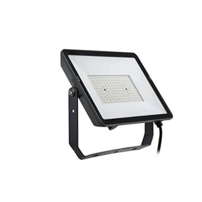 Afbeelding van Philips ProjectLine 8719514954625 LED schijnwerper 100 W Koudwit