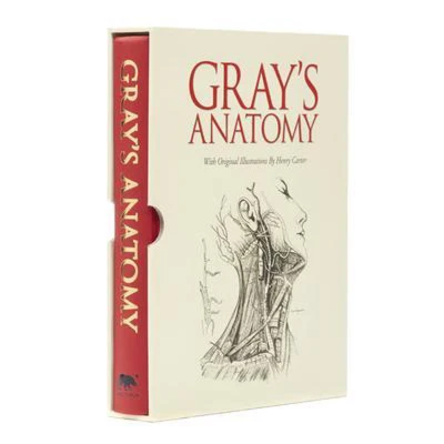 Afbeelding van Grays Anatomy