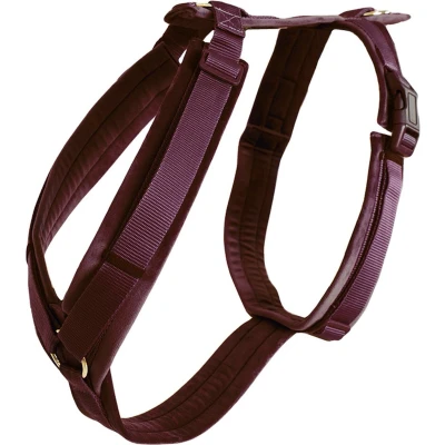 Afbeelding van Kentucky Honden Harnas Active Velvet Bordeaux Maat XS