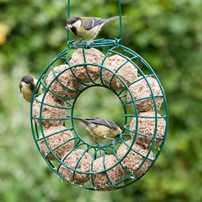 Afbeelding van Metalen mezenbolhouder rond groen 25x7 cm Gebr. de Boon