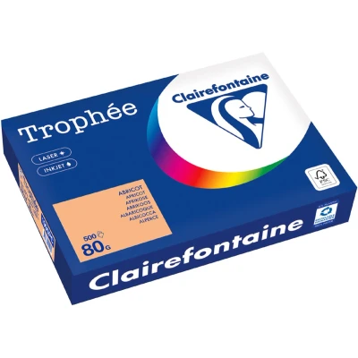 Afbeelding van Clairefontaine Trophée Intens, Gekleurd Papier, A4, 80 G, 500 Vel, Muntgroen Papier