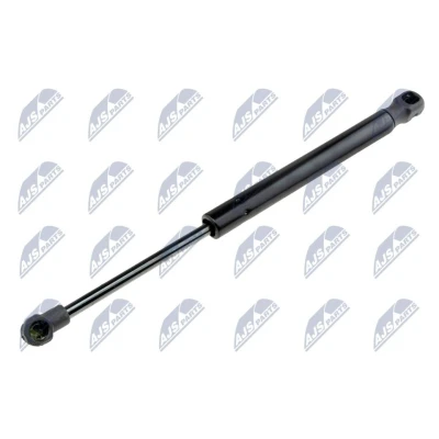 Afbeelding van NTY AE FT 012 Gasveer achterklep 380 288