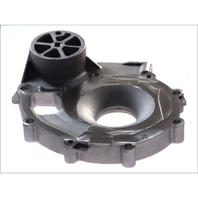 Afbeelding van DT Spare Parts 1.11165 Behuizing, waterpomp