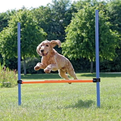 Afbeelding van Trixie Dog Activity Agility Horde Blauw / Oranje 123X115X3 CM