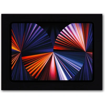 Afbeelding van Displine Whiz Tablet muurhouder Apple iPad Air 10.9 (4./5. Gen.), Pro 11 (1./2./3./4. Gen.) 27,7 cm (10,9) 27,9 (11)