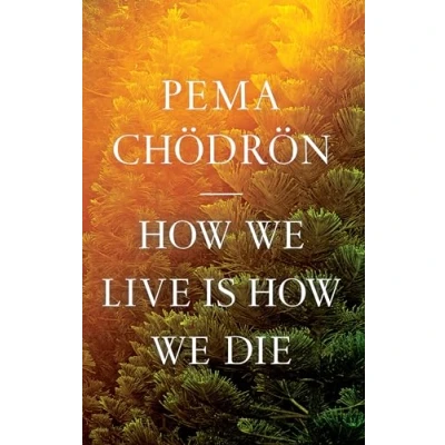 Afbeelding van How We Live Is Die