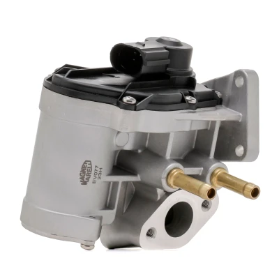 Afbeelding van EGR klep MAGNETI MARELLI 571822112077