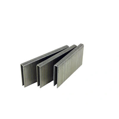 Afbeelding van Dutack 5028029 Nieten Serie 6000 20mm (5000st)