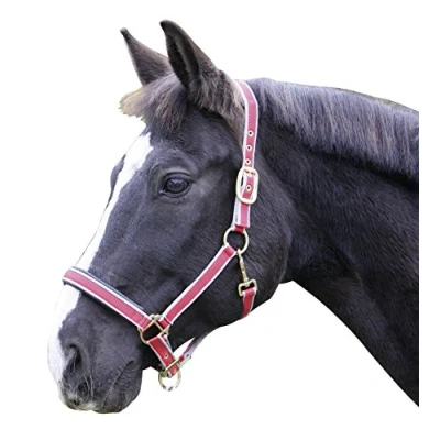 Afbeelding van Kerbl Eurohorse Halster Rood Cob 2