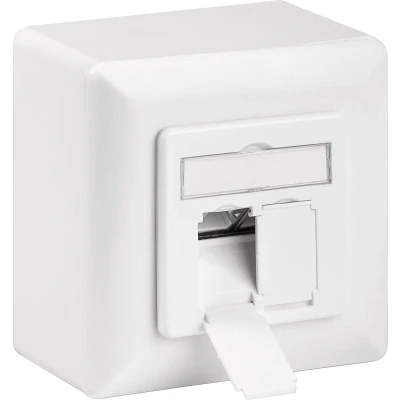 Afbeelding van RJ45 wandcontactdoos FTP (2 x RJ45, Cat6a, Horizontaal, Inbouw/Opbouw)