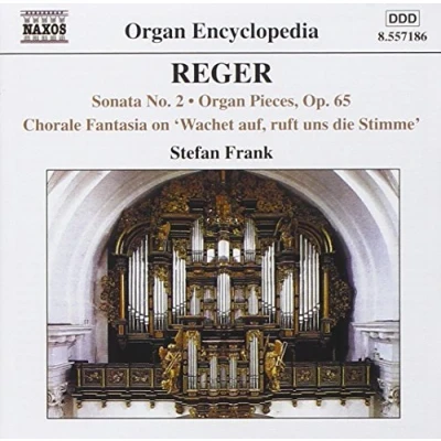 Afbeelding van Stefan Frank Organ Works Volume 5 (CD)