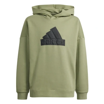 Afbeelding van adidas Performance LOGO HD Hoodie Tent green black voor kinderen, Maat: 164,