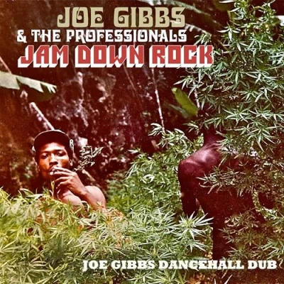 Afbeelding van Jam Down Rock