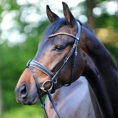 Image de Kavalkade Bridon Rose Noir Full