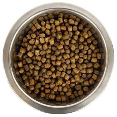 Afbeelding van Yourdog Koningspoedel Pup 3 KG (405991)
