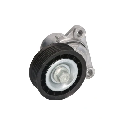 Afbeelding van Riemspanner, Poly V riem INA 534 0326 10