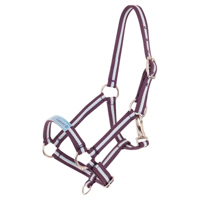 Image de Premiere Licol Fun Violet Poulain Miniature