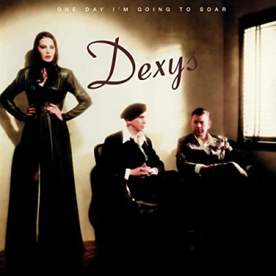 Afbeelding van Dexys One Day I&#039;m Going To Soar (2 LPs)