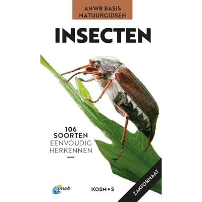 Afbeelding van ANWB Basis natuurgids Insecten