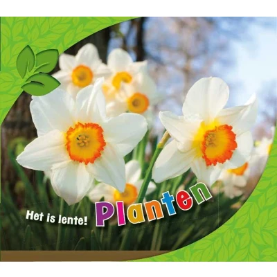 Afbeelding van Het is lente! Planten
