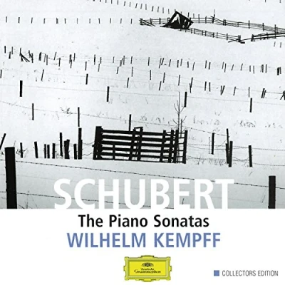 Afbeelding van Schubert: The Piano Sonatas
