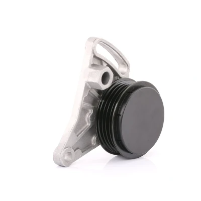 Afbeelding van Febi Bilstein Spanrol (poly) V riem 11341