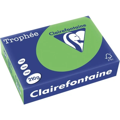 Afbeelding van Clairefontaine Trophée Intens, gekleurd papier, A4, 210 g, 250 vel, grasgroen papier
