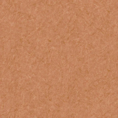 Afbeelding van Dutch Wallcoverings Tapestry Linen Plain Orange TP422904