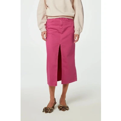 Afbeelding van Fabienne Chapot Carlyne Kokerrok, Dames, Maat: 40, Pink