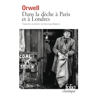 Afbeelding van DANS LA DECHE A PARIS ET LONDRES