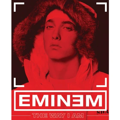 Afbeelding van Eminem