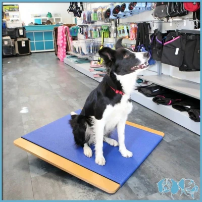 Afbeelding van FitPAWS Rocket Board