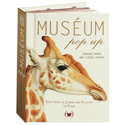 Image de Muséum pop up