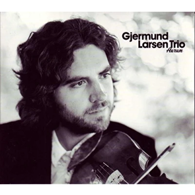 Afbeelding van Gjermund Trio Larsen Aurum (CD)
