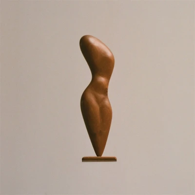 Afbeelding van Spencer Zahn Statues (2 LPs)