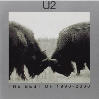 Afbeelding van The Best Of 1990 2000