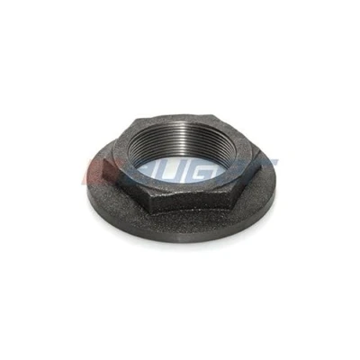 Afbeelding van Auger Wielnaafmoer 53750