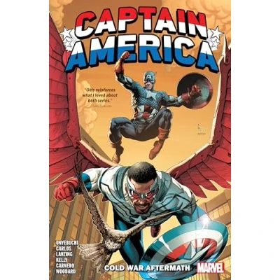 Afbeelding van Captain America: Cold War Aftermath