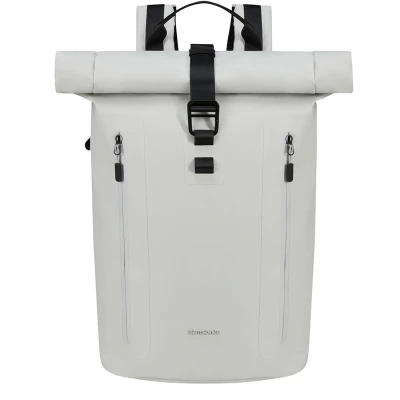 Afbeelding van Samsonite Coatify Biz Rolltop backpack 15.6&quot; quartz