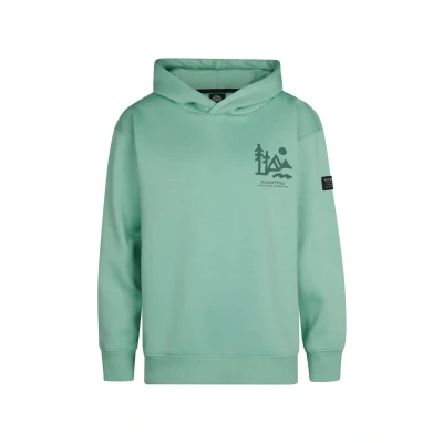 Afbeelding van Petrol Industries Graphic Deschutes Hoodie voor kinderen, Maat: 152, Pale aqua
