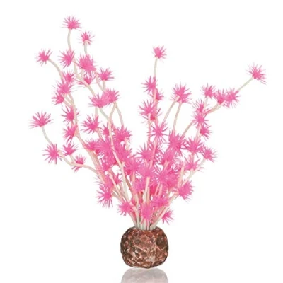Afbeelding van Bonsai bal roze Oase biOrb