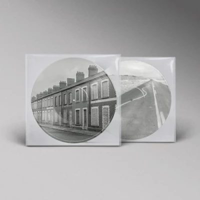 Afbeelding van Manic Street Preachers Critical Thinking (Picture Disc LP)