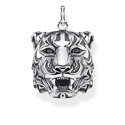 Afbeelding van Thomas Sabo Unisex Hanger zirconia PE887 643 11