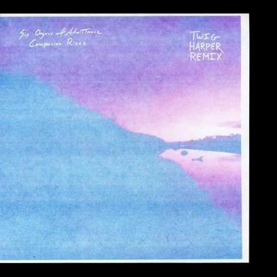 Afbeelding van Six Organs of Admittance &amp; Twig Harper Companion Rises (LP)