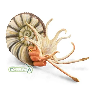 Afbeelding van Collecta Speeldier Pleuroceras 11,9 Cm Abs Kunststof Wit