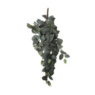 Afbeelding van Fittonia Kunst Hangplant L15 x B20 H54 cm Groen