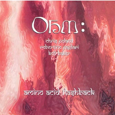Afbeelding van Ohm Amino Acid Flashback (CD)