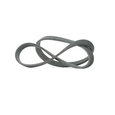 Afbeelding van Poly V riem DAYCO 6DPK1195